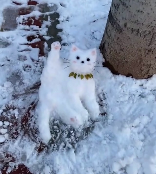 Субботние картинки