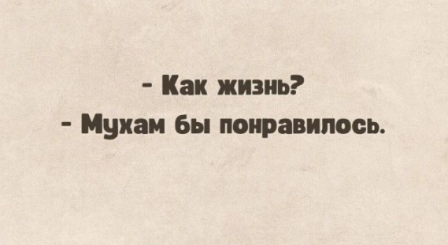 Какой-то праздник в Индии (Купала?)