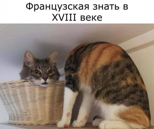 Картинки для деградации 168 (разной степени свежести)
