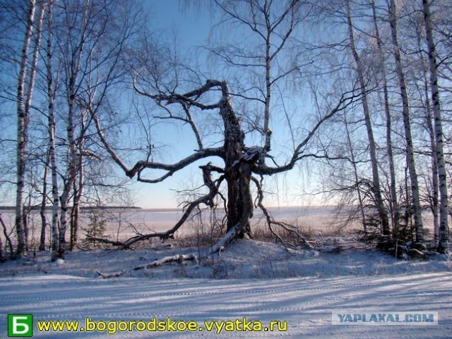 Зачем красят бордюры весной?