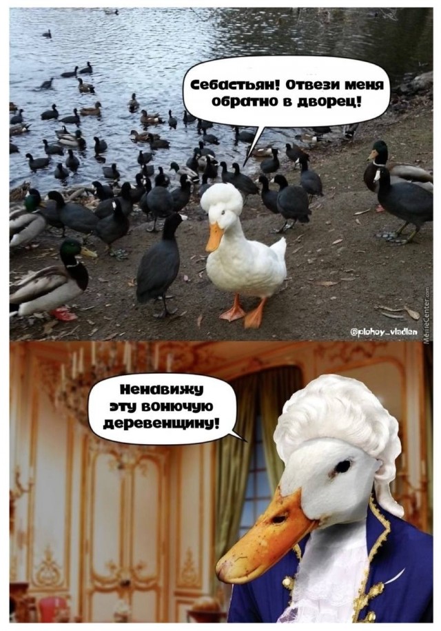 Картинки для деградации 193 (разной степени свежести)