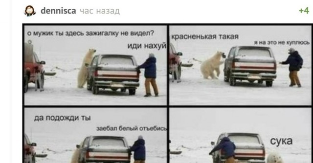 Медведь набросился на мужчину во дворе дома в Хабаровском крае