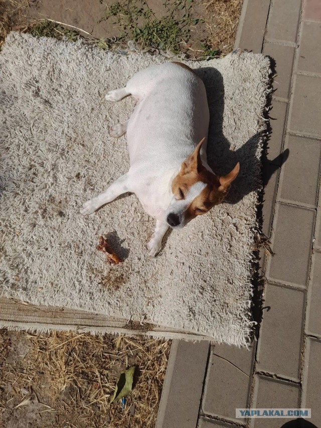 Достучаться до небес.