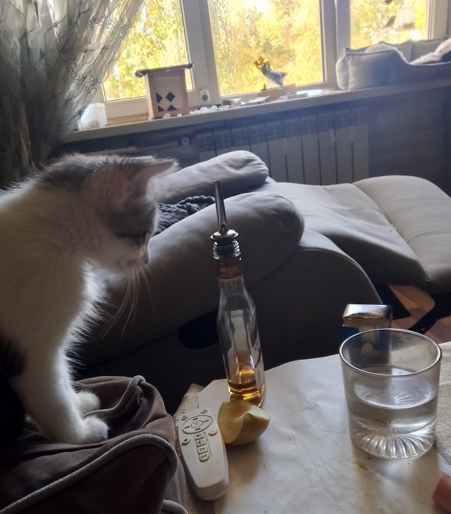 А у нас отопление включили.