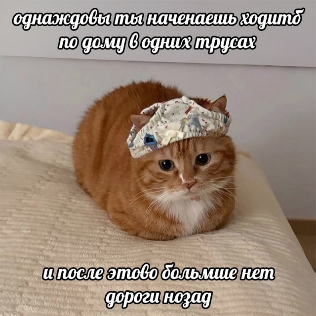Так себе картинки 25.10.26