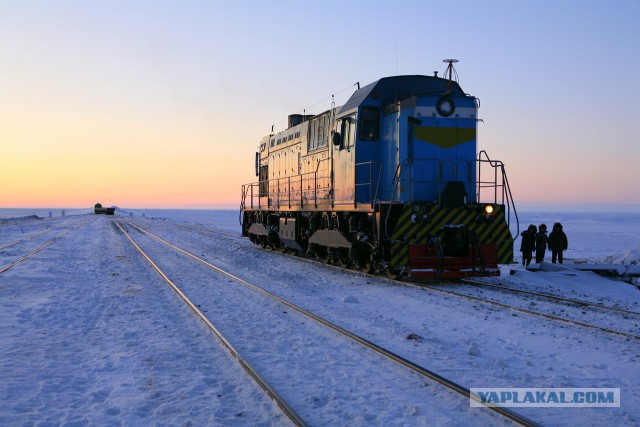 Победители фотоконкурса