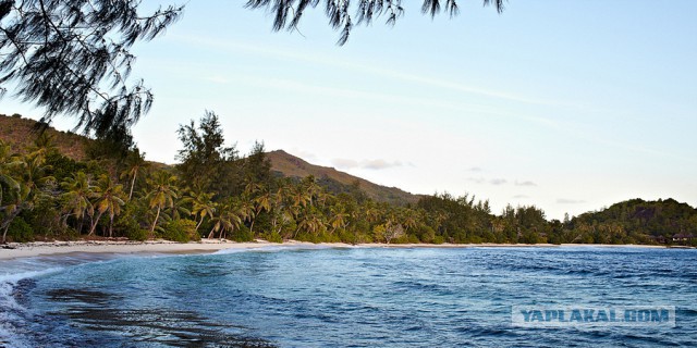 Как я съездил на Сейшелы