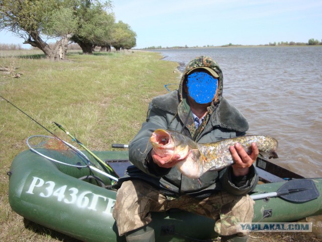 Ахтуба. апрель.