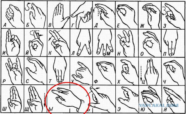 Всемирная энциклопедия жестов