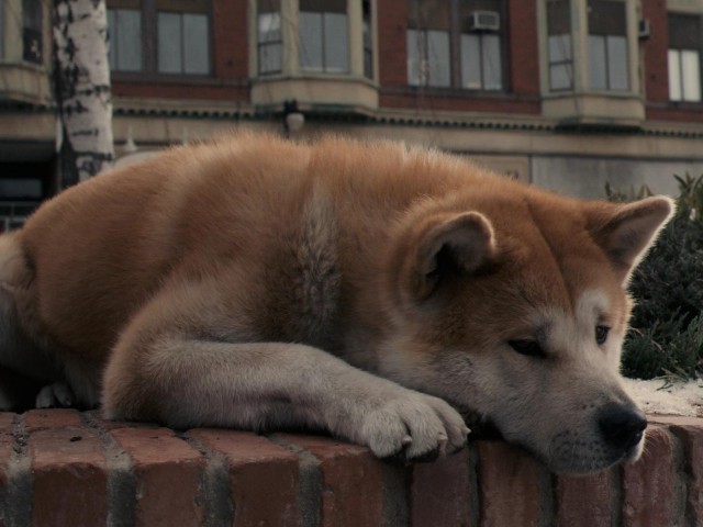 Секс с лучшим другом