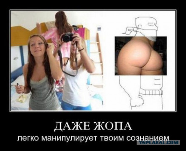 Весёлые картинки