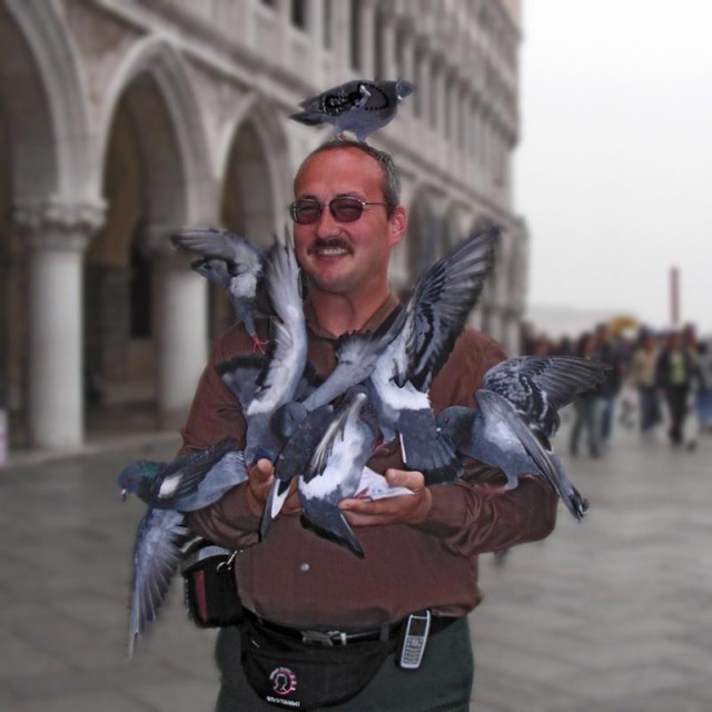 Наглые пернатые морды