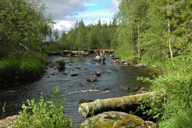 Деревенская Америка