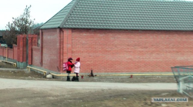 Проверка паспортного режима