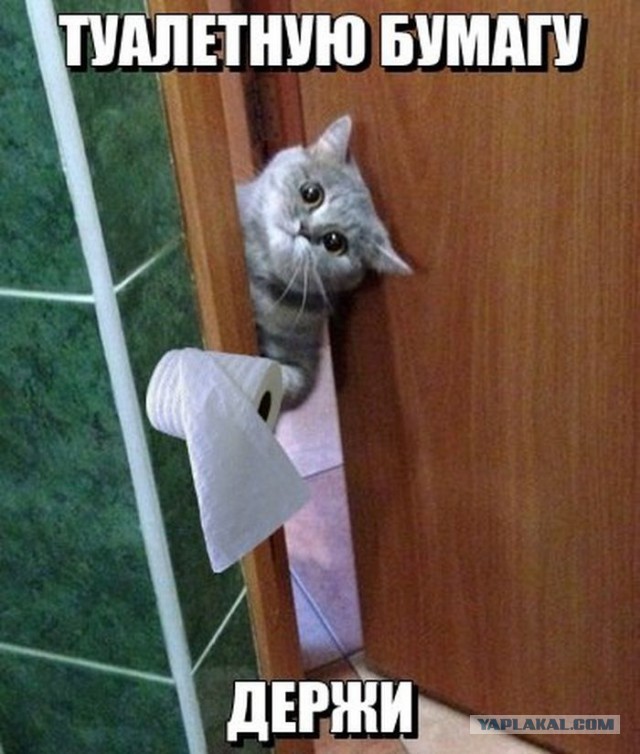 Весёлые картинки