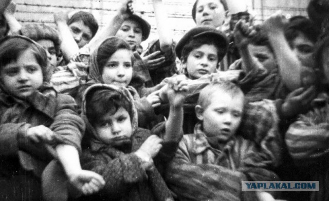 Поднятие Мессершмита-109 барона Адольфа фон Гордона