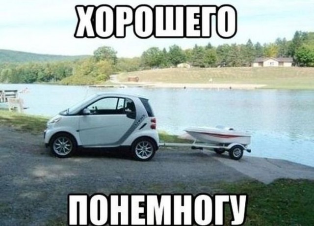 Да они же все там обдолбанные, нах!