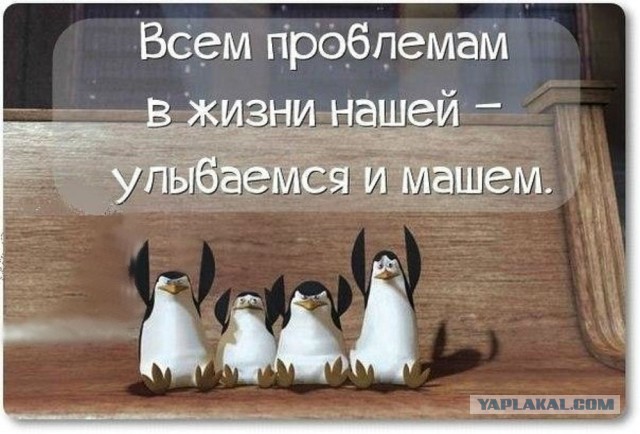Быть богатым не стыдно. Всё моё имущество легализовано