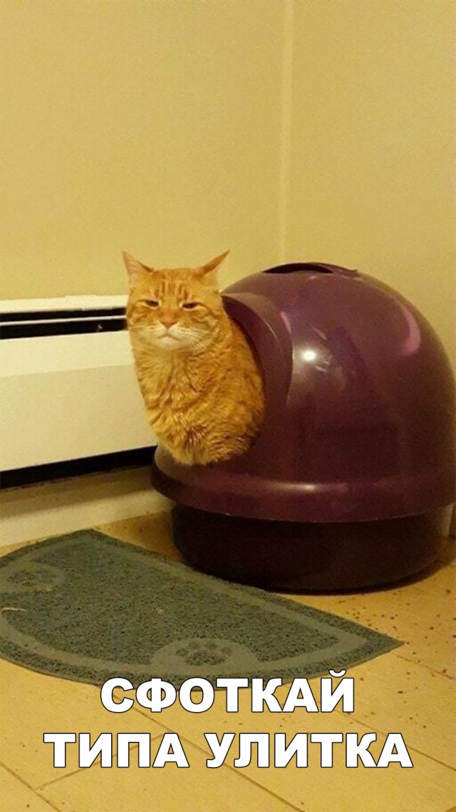 Немного милоты