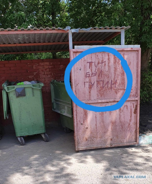 Прямая линия 20.06.2019