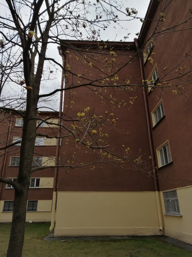 Откровение плохого папы