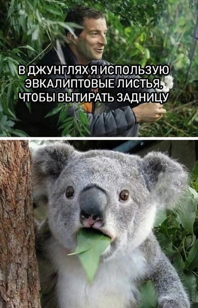 Немного картинок для настроения 27.08.20