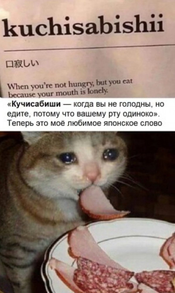 Бредзона 06.11.2020