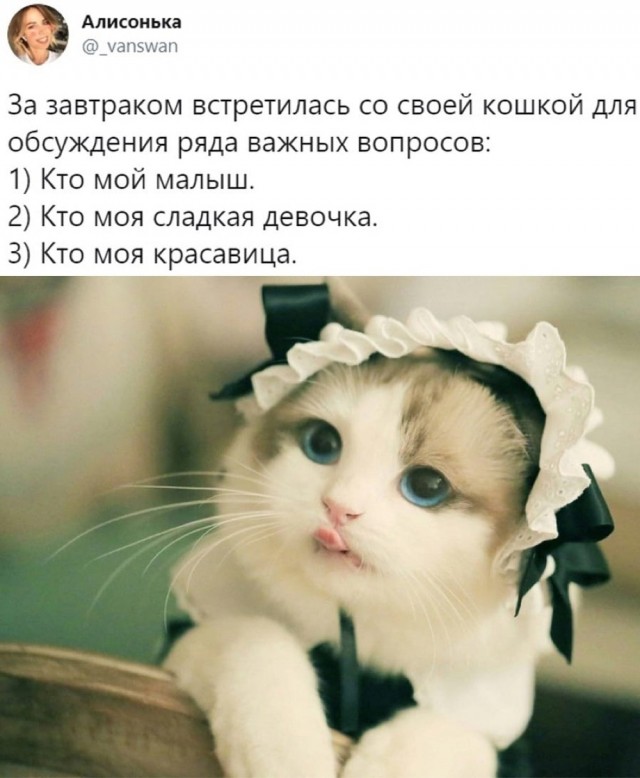 Юмор и прикольные картинки 11.10.2021