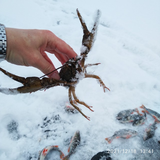 Открыл сезон зимней рыбалки