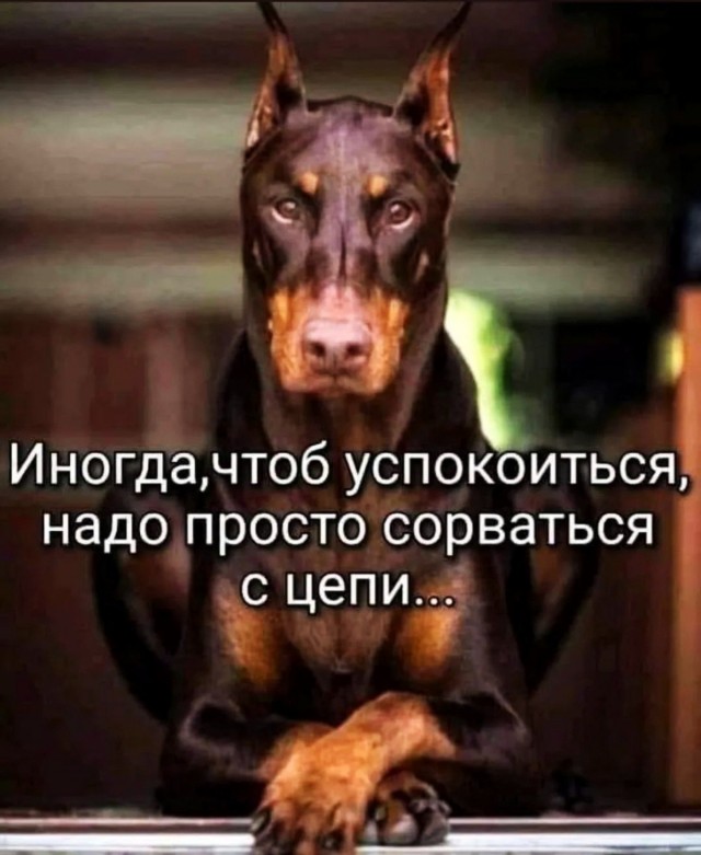 Так себе картинки 24.02.22