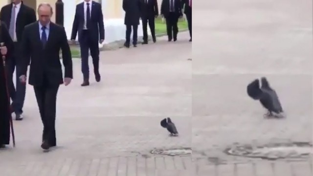 Во время речи президента США Джо Байдена об инфляции на него нагадила птица