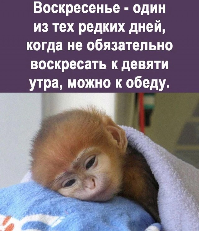Немного картинок и прочей хреноты Vol. 16