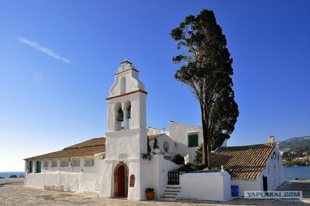 Любовь с первого взгляда