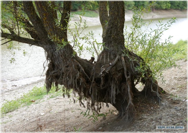 Крым. Новоульяновка. Водохранилище.