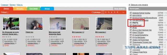 Промысел коренных французов
