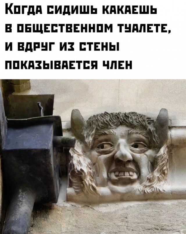 Весёлый полтишок 08.09.23