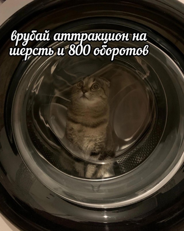 Отряд быстрого деградирования