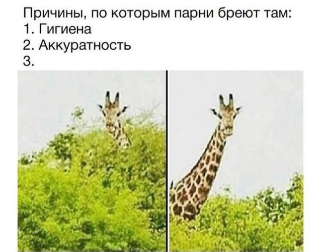 45 пошло-баянистых картинок
