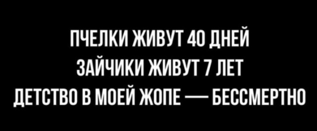 Всего понемногу. От 21.01.24