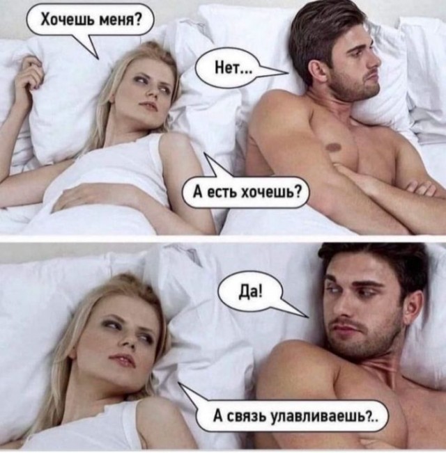Веселые картинки в понедельник (11.11)