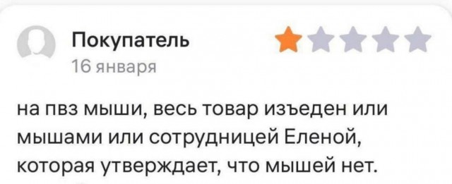 Нуштош 07.02.2025. Так же близко (s3e5)