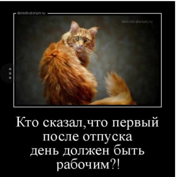 В первые дни после отпуска категорически нельзя браться за важные задачи и встречи