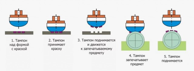 Сиське-рисование