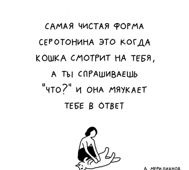 Картинки для деградации 47 (разной степени свежести)