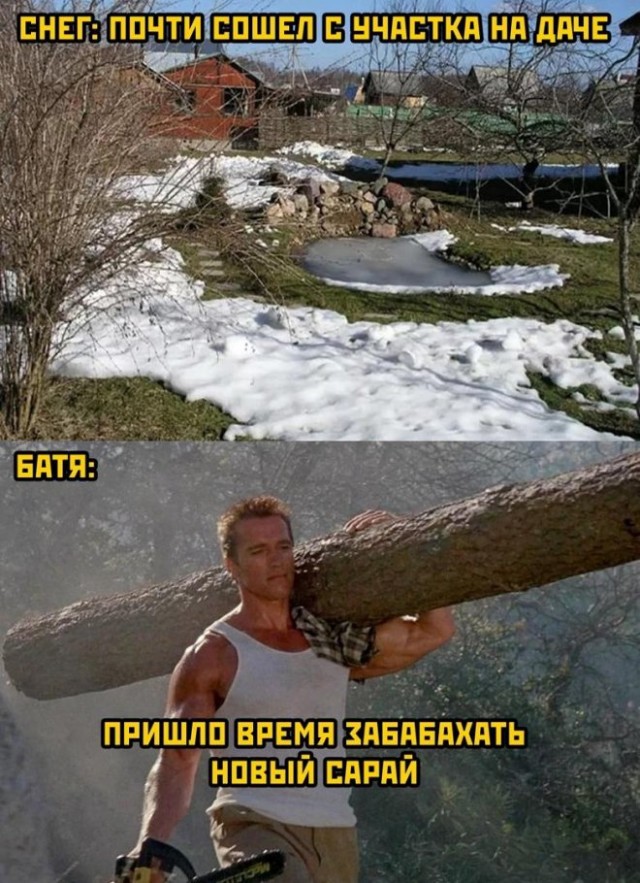 Веселые картинки в понедельник (06.10)