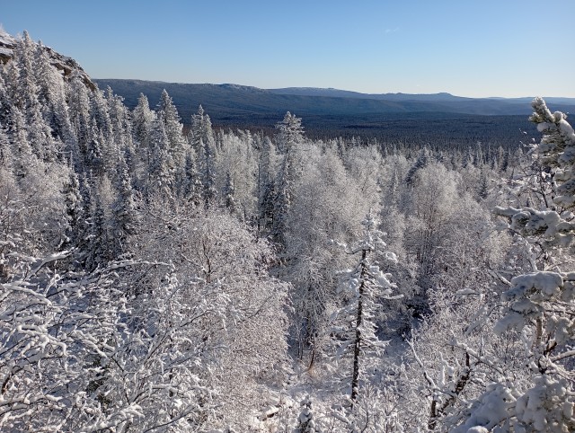 Осень, начались осенние опята
