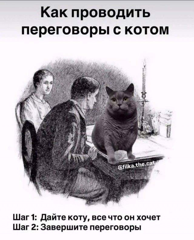 Субботние картинки