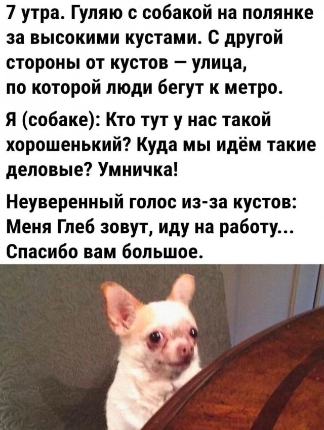 Картинки для деградации 204 (разной степени свежести)