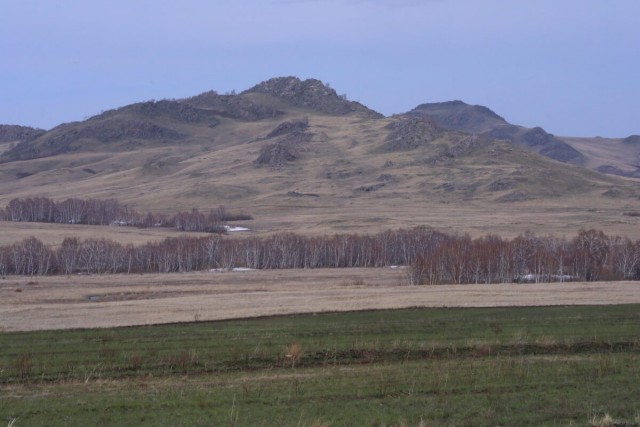 Быка за рога