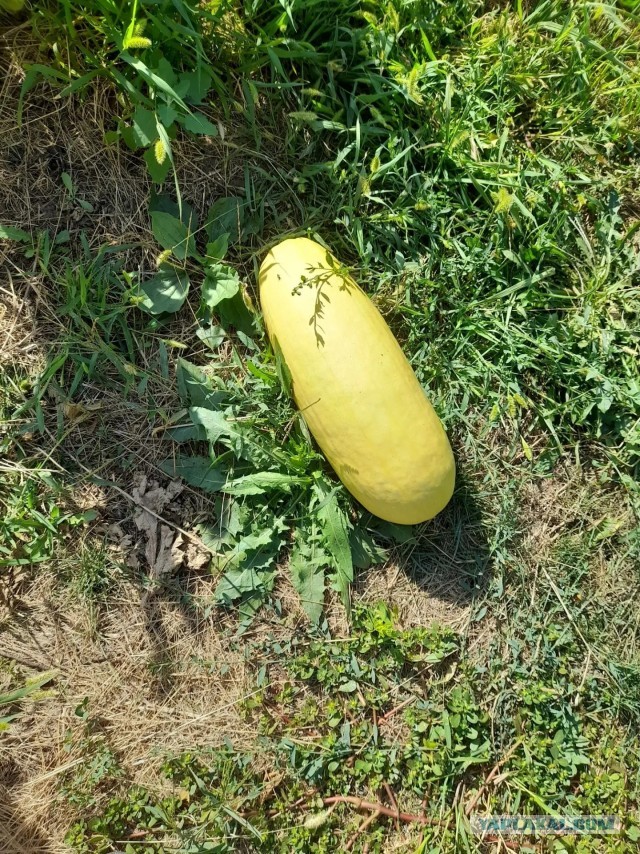 Достучаться до небес.